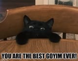 bestgoy22