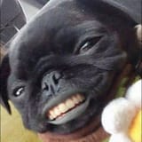 smiel