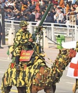 Battle Camel Mortar