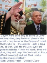 Shabbos_Goy