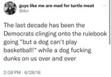 dog basketball