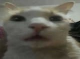 1711253712672391
