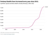 overdose deaths