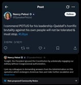 pelosi