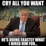 Trump_Is_Doing_The_Job