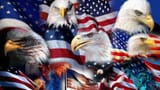 a31fbfcc31c7e1d0e3238eb5d4bacc239c152bf3