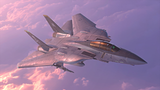 Super Tomcat
