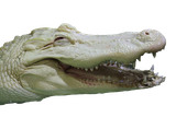 1606068168239
