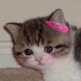 1618112921345