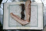 allahs-snackbar