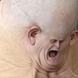 boomer scream