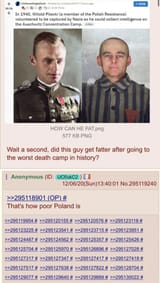 1742332239426902