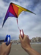 Go_fly_a_kite_(7511318416)