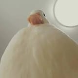 pathetic