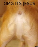 images - 2025-06-22T122858.125