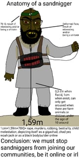 anatomy of a sandnigger