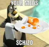 your meds schizo