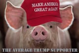 the average trump supporter