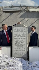 1722310576684981