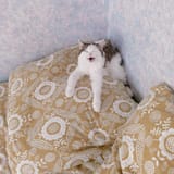 hYRGZcZbwYg