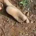 17502387830600_thumb.jpg