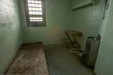 web19-solitary-cell-1160x768_0-800x533
