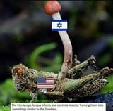 America-Israel Relations - The Cordyceps fungus infects and controls insects turning them into something similar to the Zombies - ZOG AIPAC
