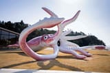 squid