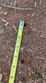 Latest Fardow Image 002010030233