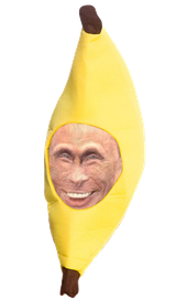1703990299085516