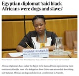 Egyptian diplomat said black africans were dogs and slaves