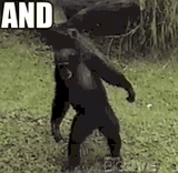 1732059380131
