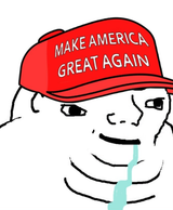 maga retard