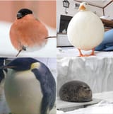 1744727339615293