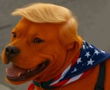 20250622_081220