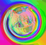 1730620536016284