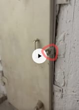 82737393