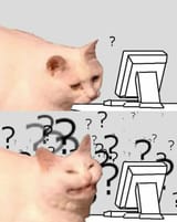 cat what