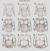 male_body_types