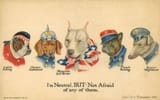 The AR-15 of dogs