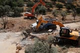 Bulldozer-trees-678x455