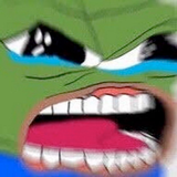 1737132836816312