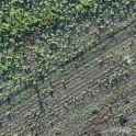 Two Ukrainian drones raced to take down a Russian occupier. A Mavic operator spotted the target, got ahead, and dropped a payload. 21-06-2025 HD_thumb.jpg