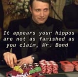 bond hippos