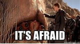 its-afraid-egenerator-net-its-afraid-afraid-meme-generator-50325030.png.435b3a4c69962b8cadec5a2b5a1d4f83