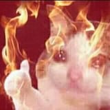 firecat