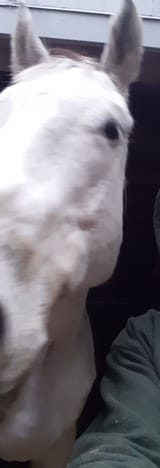 rrrr rrrr