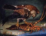 Cristóbal Vilella (Palma de Malloca, Province of Balearic Islands 1742-1803 ibid.) Sparrowhawk on a lobster - oil on canvas