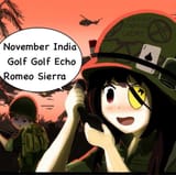 meg says niggers