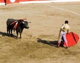 bullfighting_1562400227
